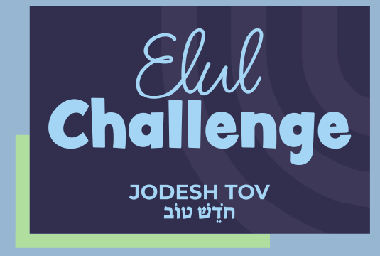 ELUL CHALLENGE