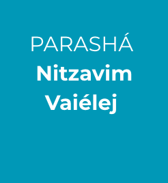 Parashá Nitzavim -  Vaiélej