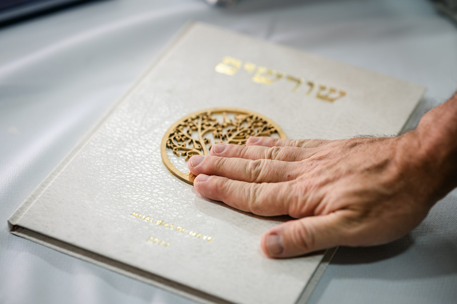 Shorashim: arte, historia e identidad